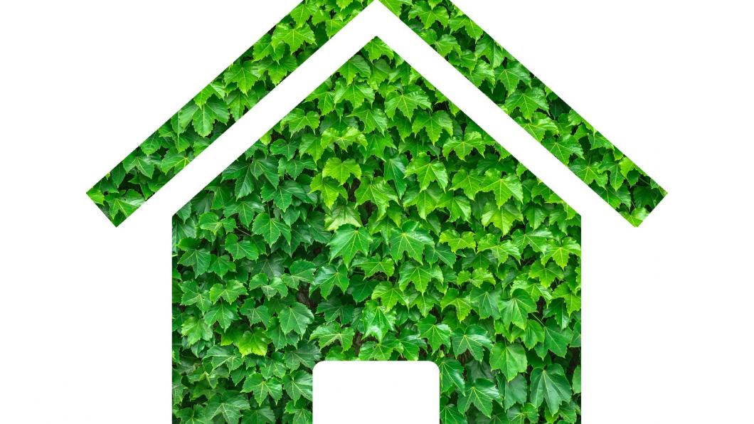 groen huis