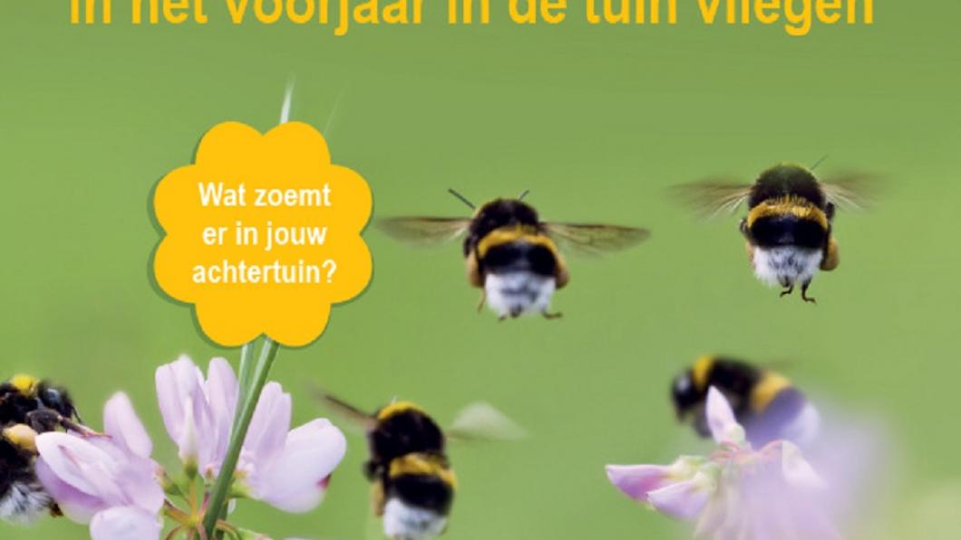 Bijengids van Nederland Zoemt voorkant_bijengids_nederlandzoemt1.jpg