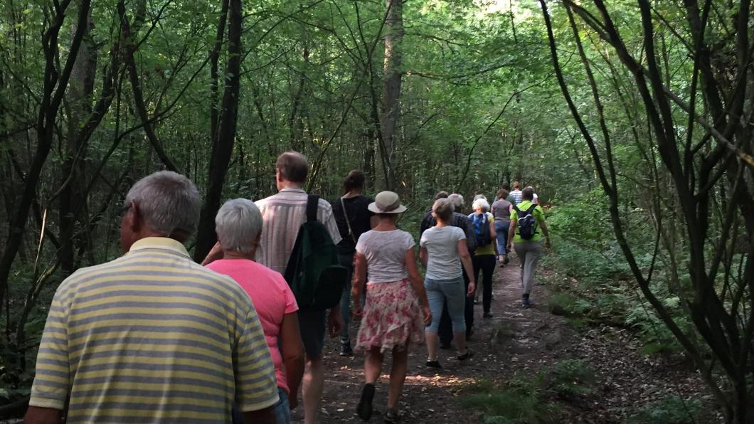 zomerwandeling_lonnekerberg_landschapoverijssel.jpg