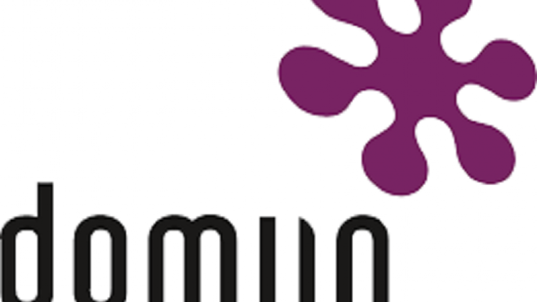 domijn_logo_1.png